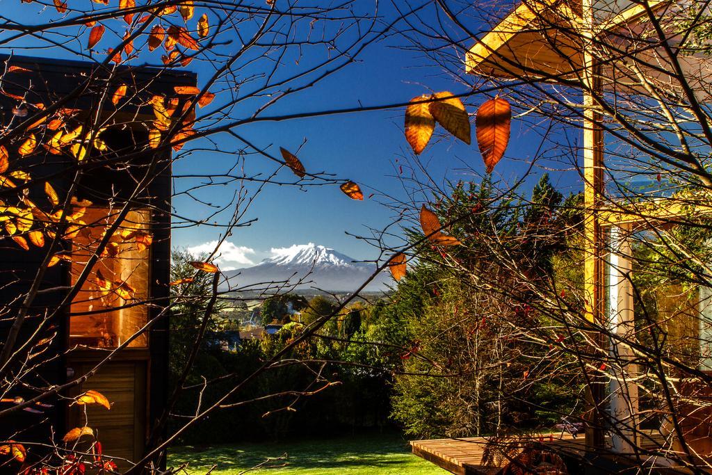 Las Magnolias Lofts Villa Puerto Varas Oda fotoğraf