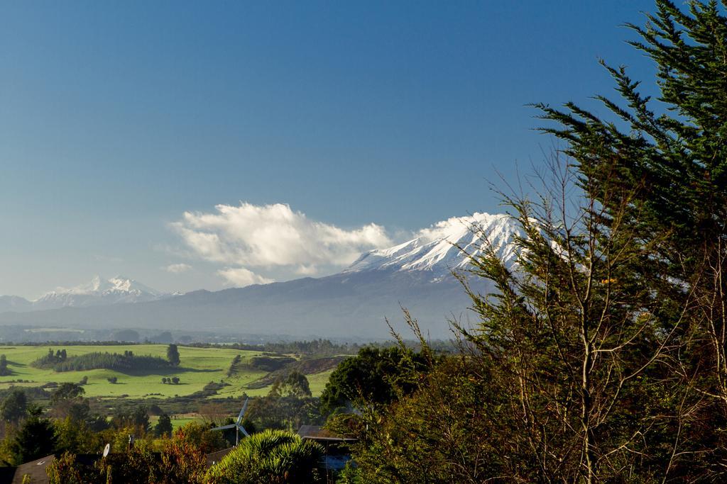 Las Magnolias Lofts Villa Puerto Varas Oda fotoğraf
