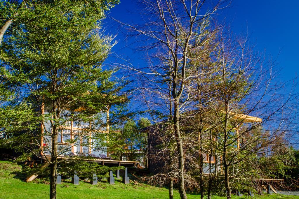 Las Magnolias Lofts Villa Puerto Varas Oda fotoğraf